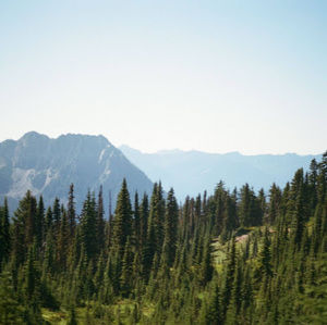 Meet your Posher, Bradley